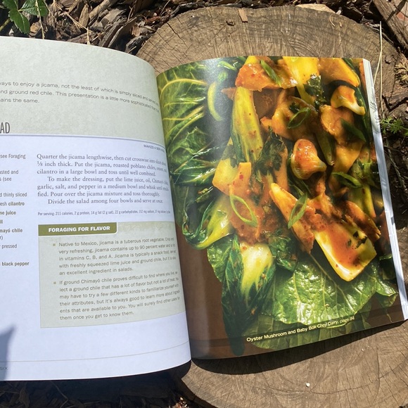 Paleo Vegan Cookbook - Picture 4 of 5